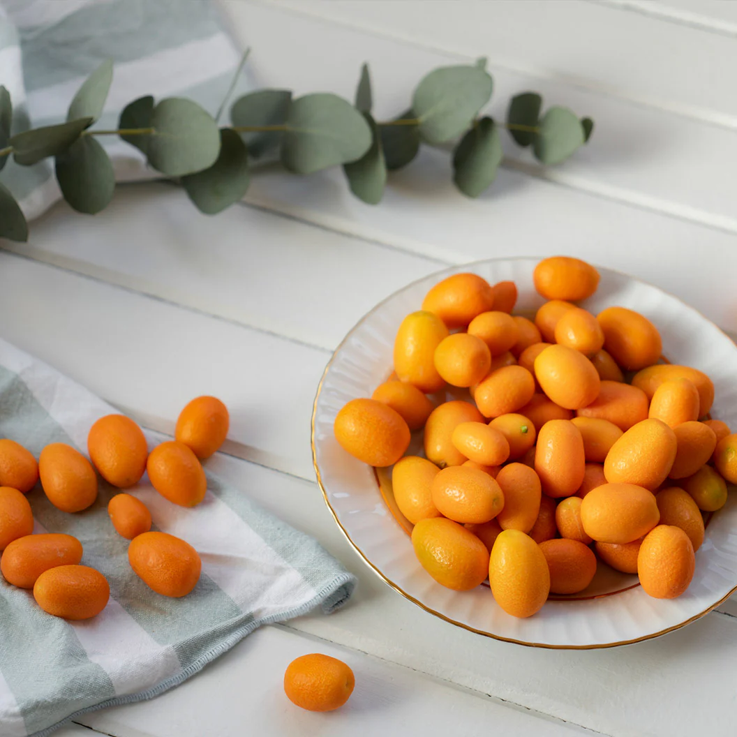 Meiwa Sweet Kumquat Tree - Image 4