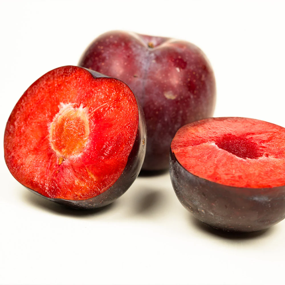 Methley Plum Tree - Image 3