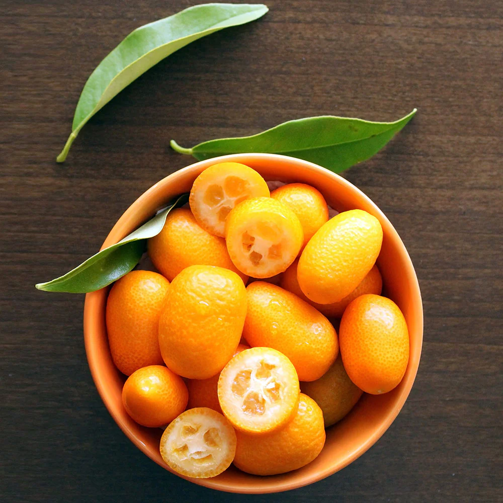 Nagami Kumquat Tree - Image 5