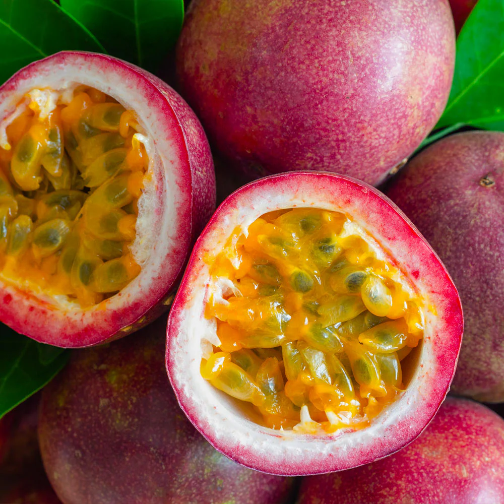 Nancy Garrison Passion Fruit Vine - Image 4