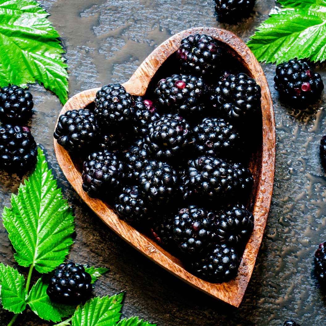 Natchez Blackberry - Image 3