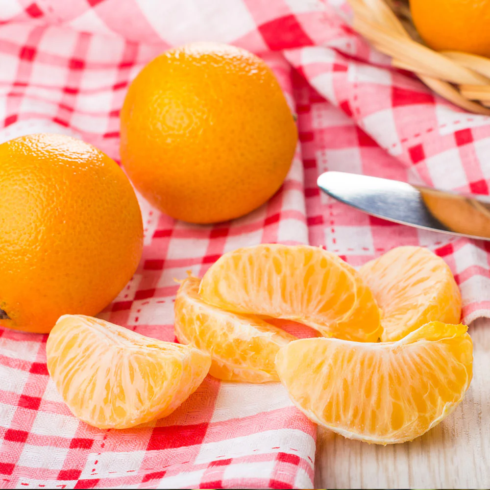 Navel Orange Tree - Image 5