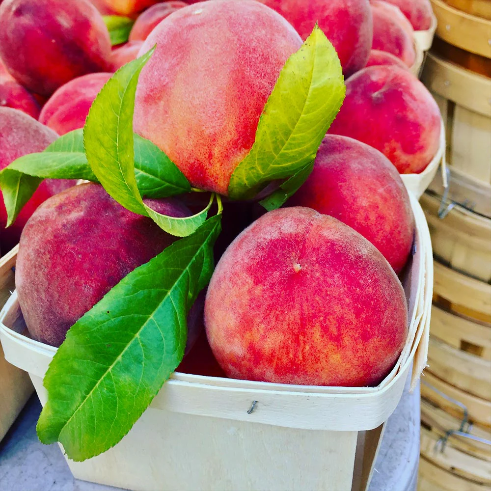 O'Henry Peach Tree California - Image 3
