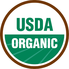 Beefsteak Tomato Plant - USDA Organic - Image 5