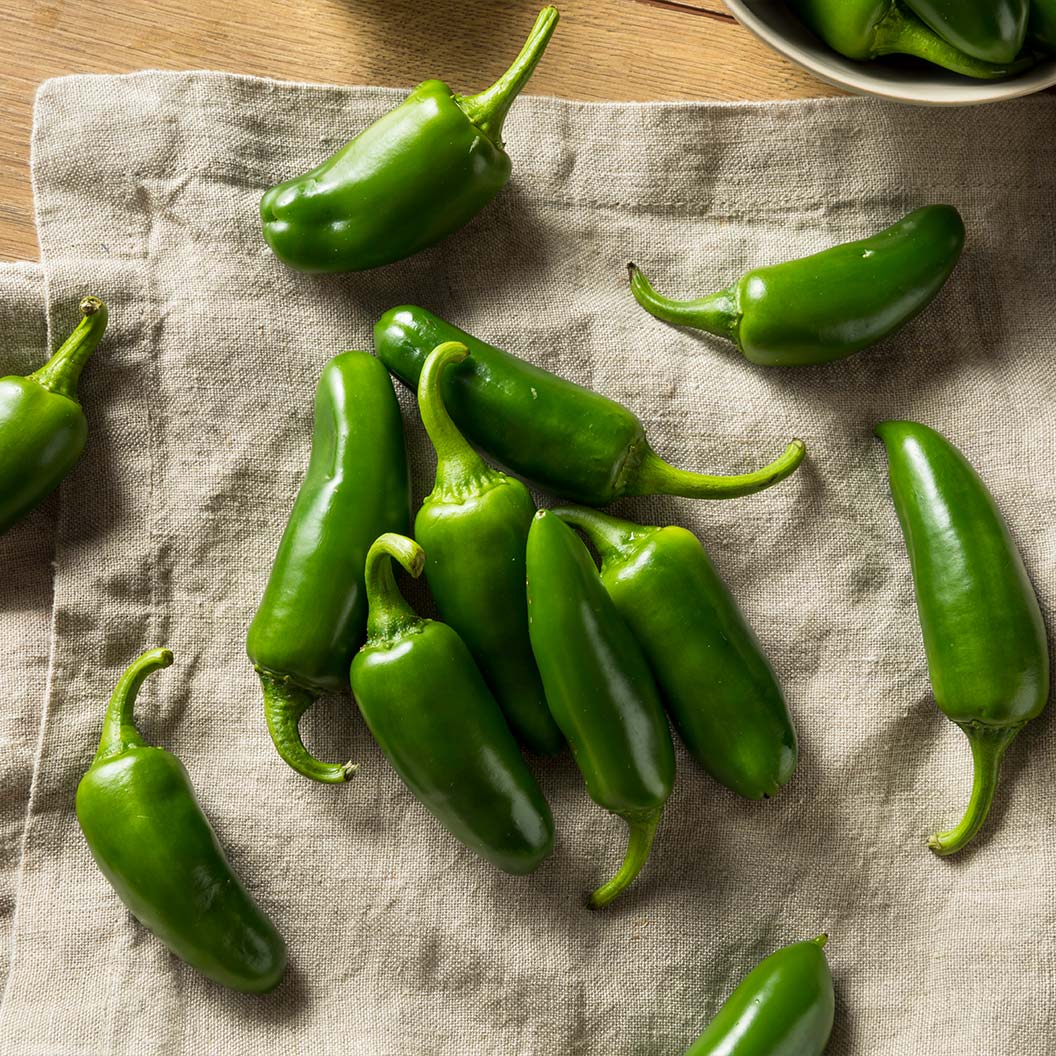 Jalapeno Pepper Plant - USDA Organic - Image 3