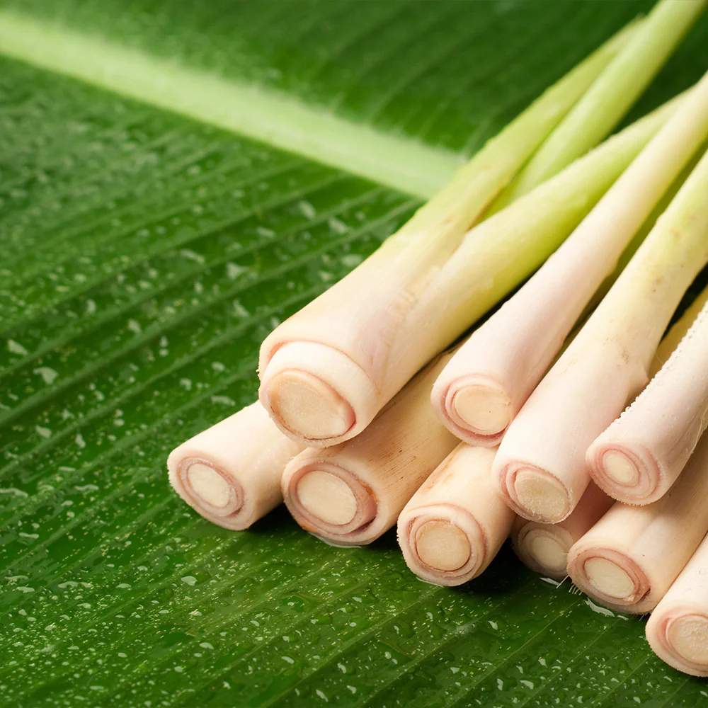 Lemongrass - USDA Organic - Image 3