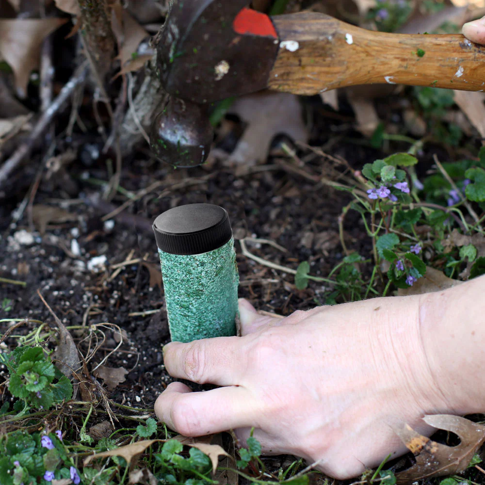 Lutz Palm Tree Fertilizer Spikes - Image 3
