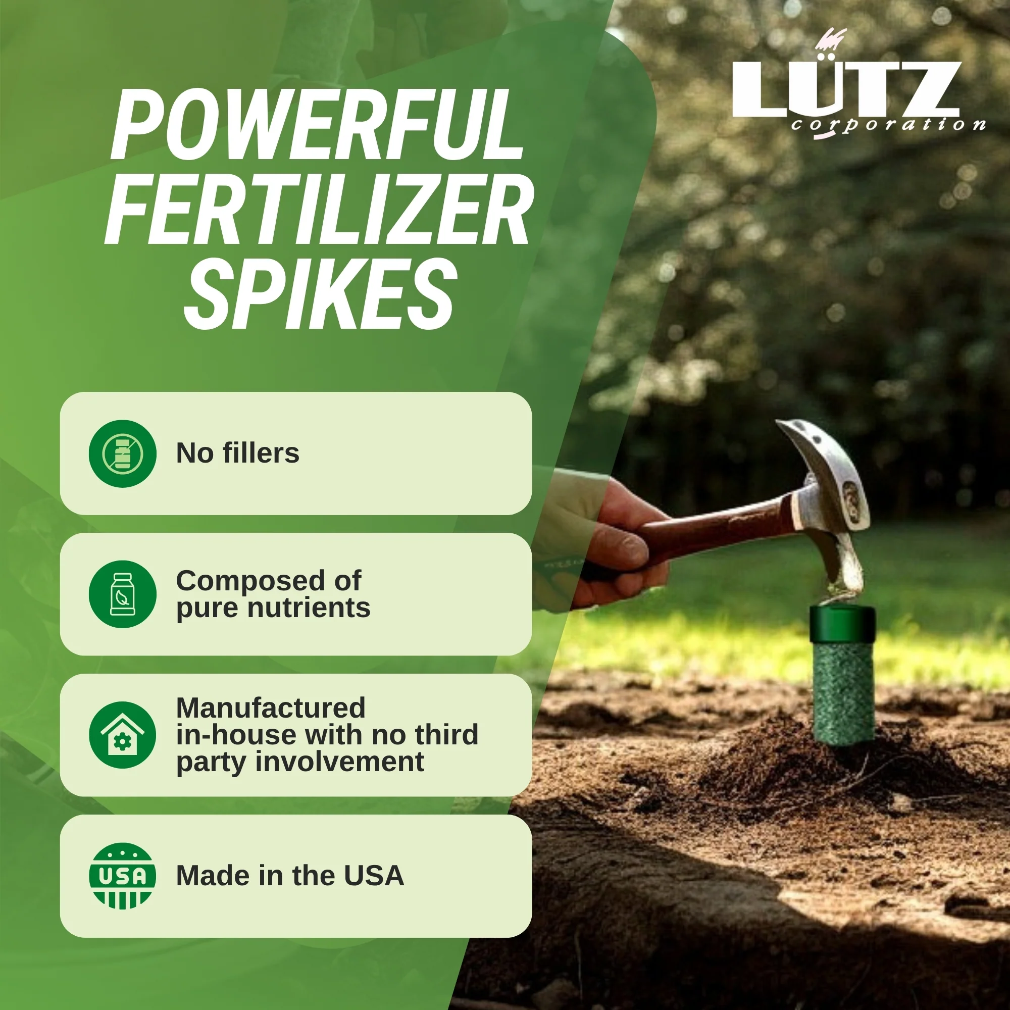 Lutz Palm Tree Fertilizer Spikes - Image 5