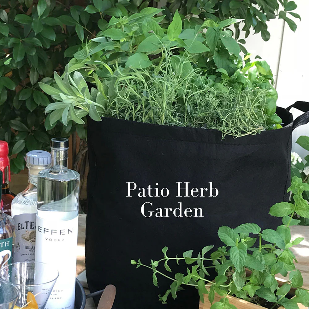 Gardenuity® Patio Herb Garden - Image 3