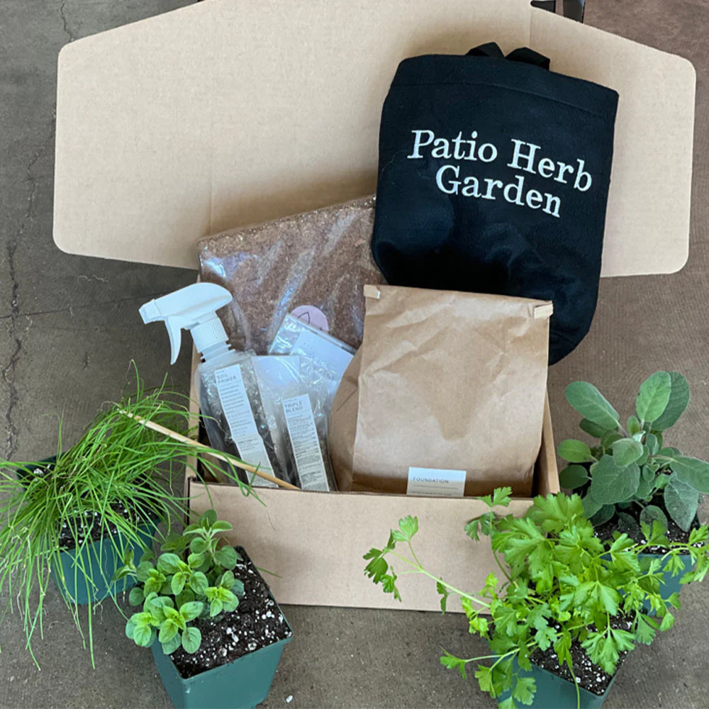 Gardenuity® Patio Herb Garden - Image 4