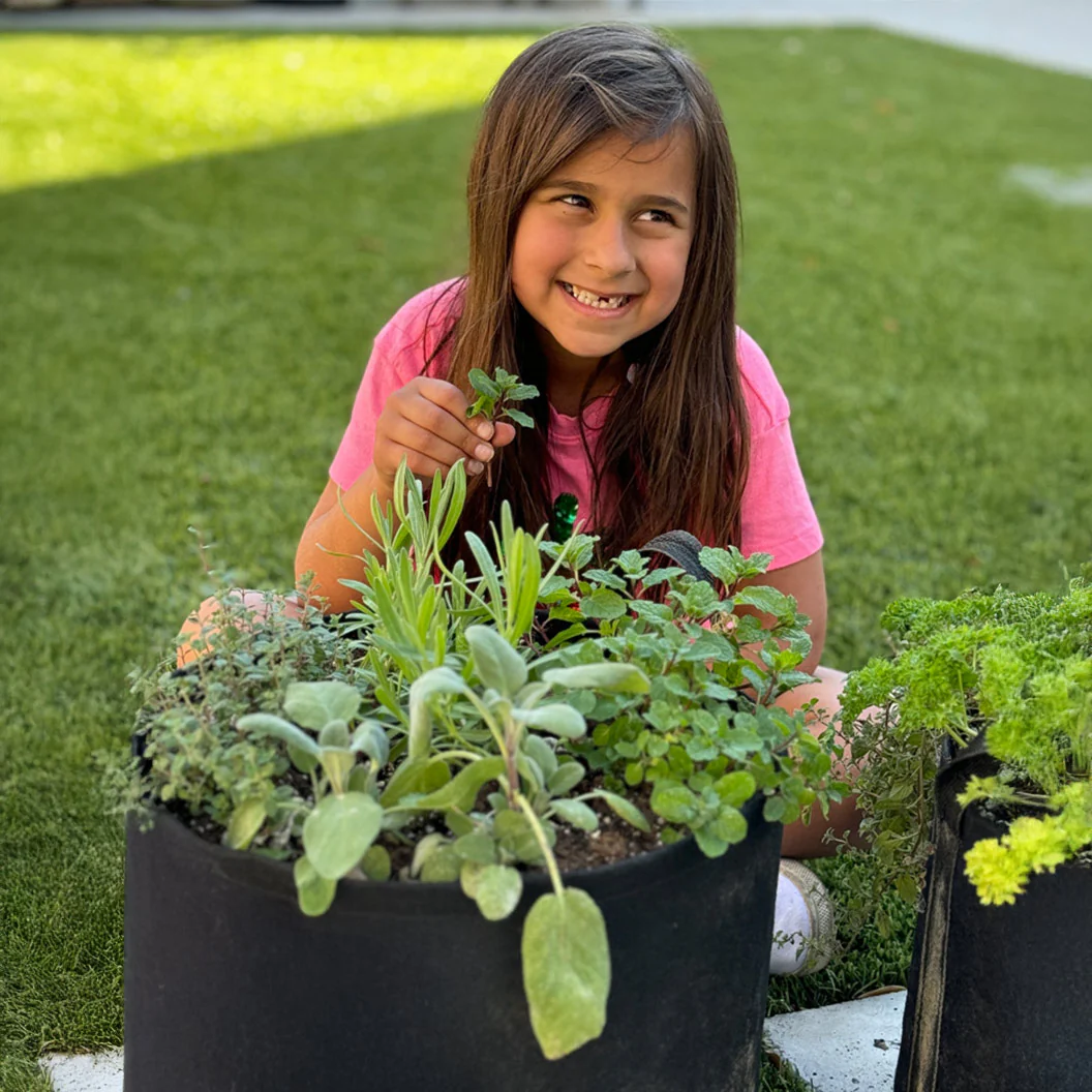 Gardenuity® Patio Herb Garden - Image 5