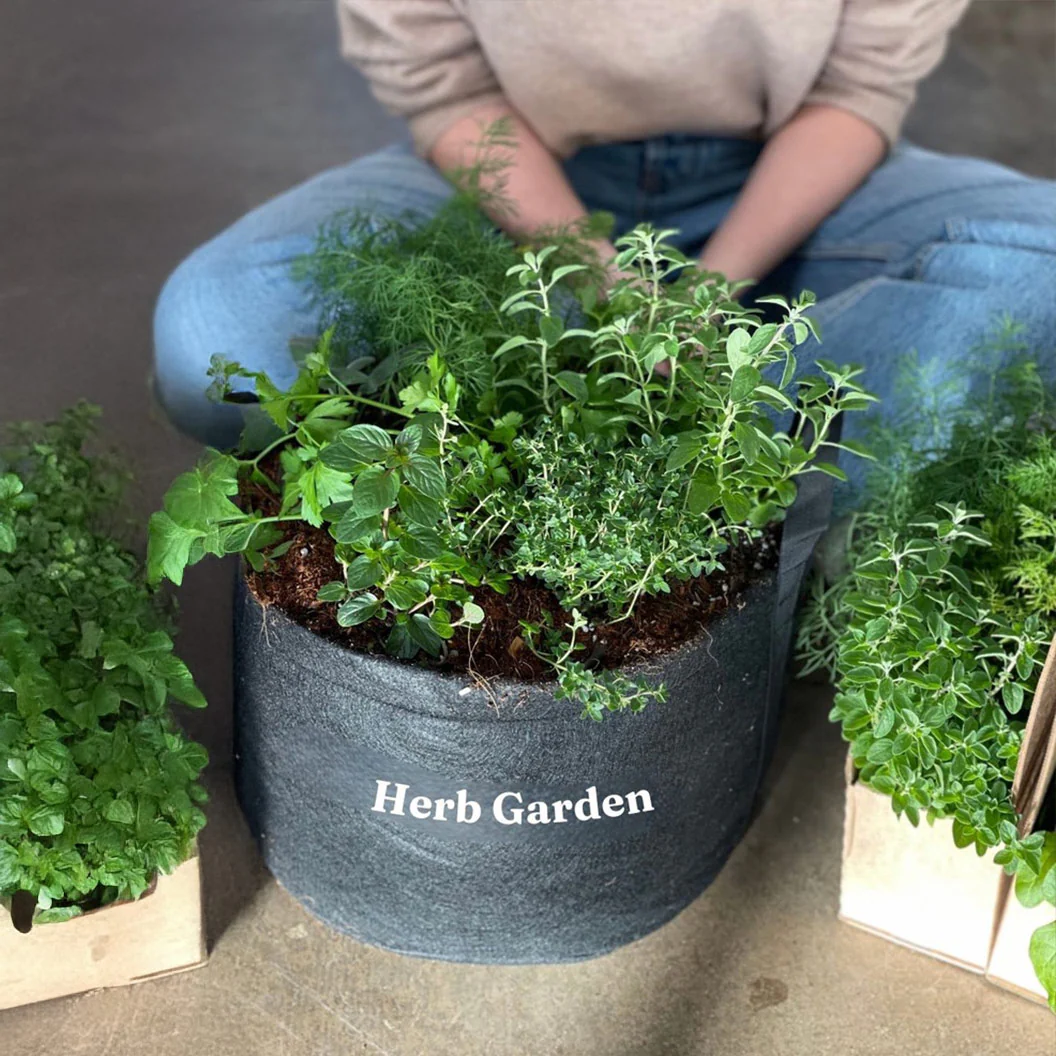 Gardenuity® Patio Herb Garden - Image 6