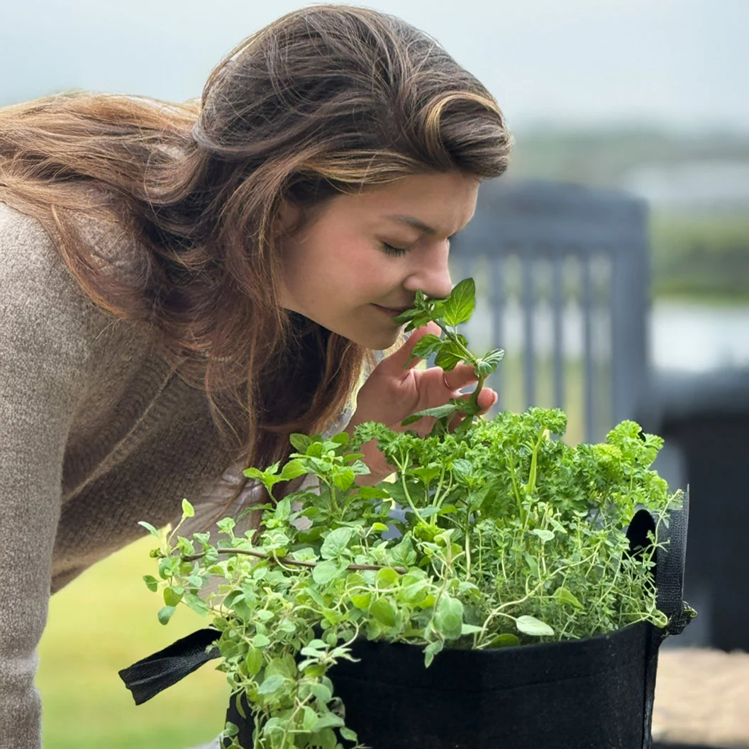 Gardenuity® Patio Herb Garden - Image 7