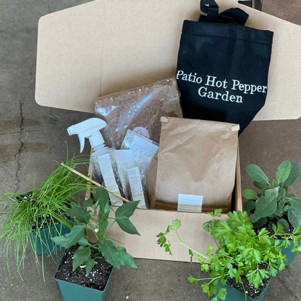 Gardenuity® Patio Hot Pepper Garden - Image 3