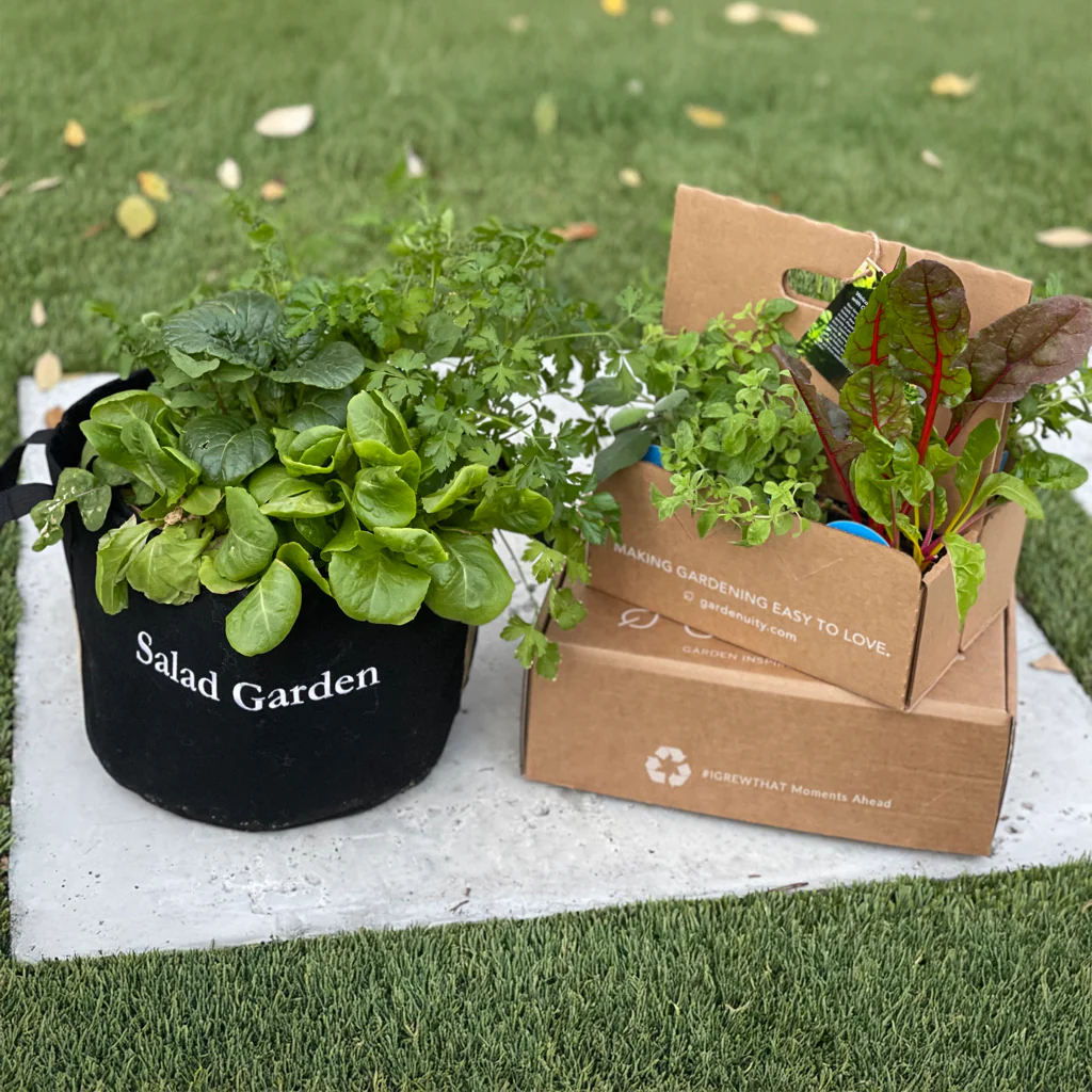 Gardenuity® Salad Garden Patio Kit - Image 2