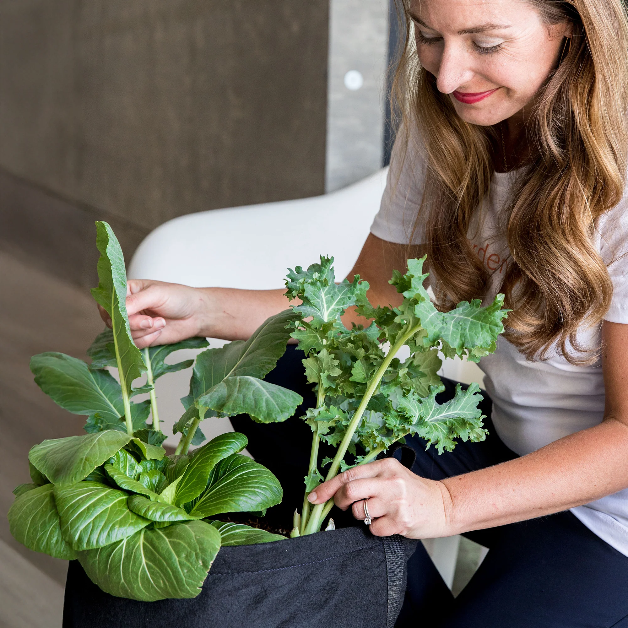 Gardenuity® Salad Garden Patio Kit - Image 4