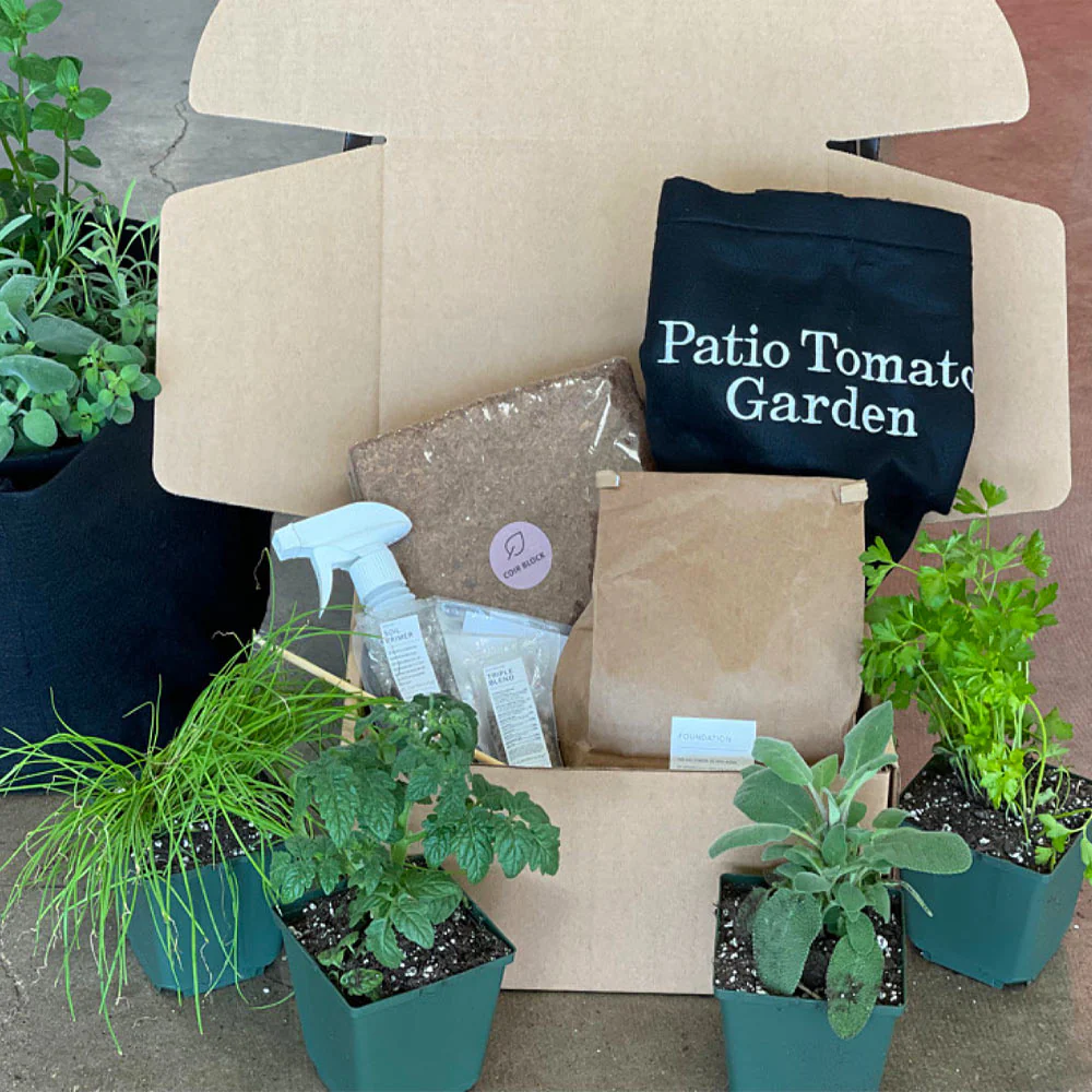 Gardenuity® Patio Tomato Garden - Image 5