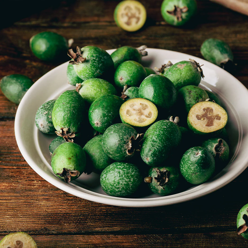 Pineapple Guava Coolidge Tree - Image 4