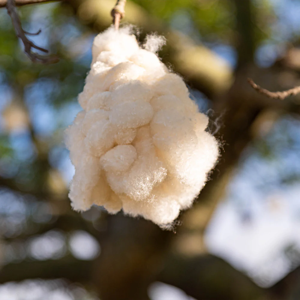 Pink Silk Floss Tree - Image 9
