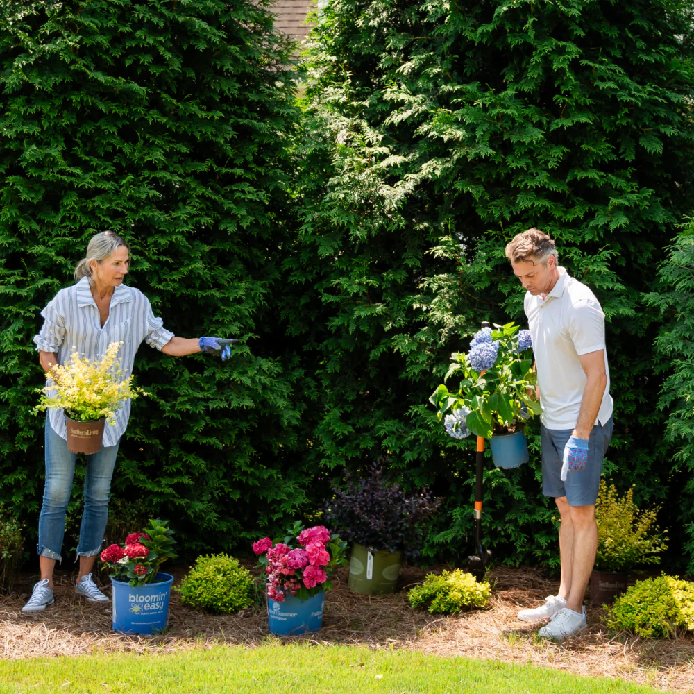Expert Consultation: Plant Selection - Image 2