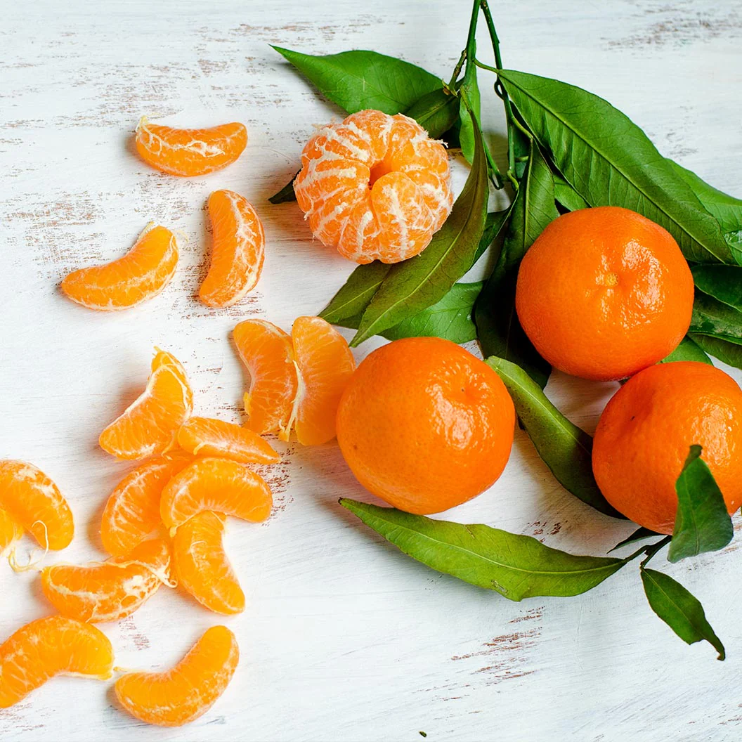 Ponkan Mandarin Tree - Image 3