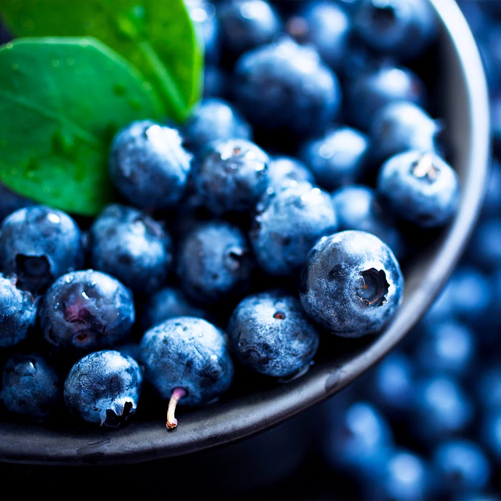 Powderblue Blueberry - Image 3