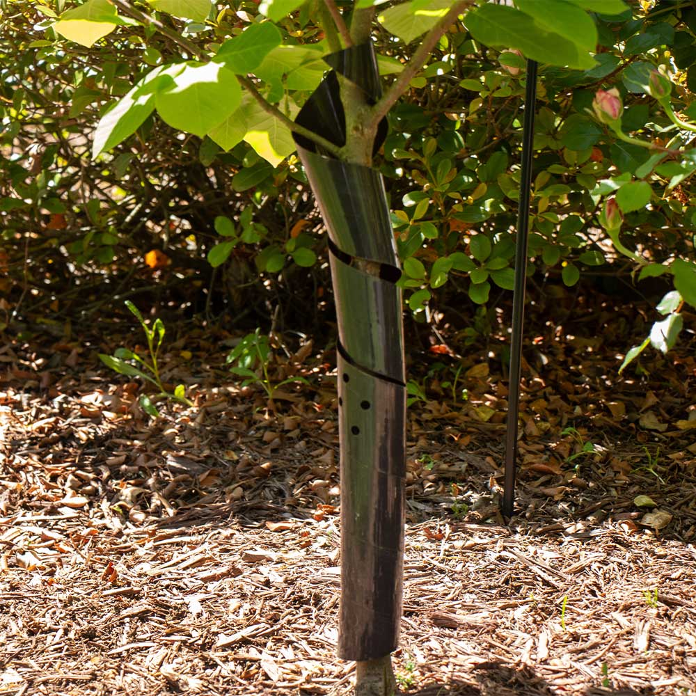 Tree Planting Kit - Image 3