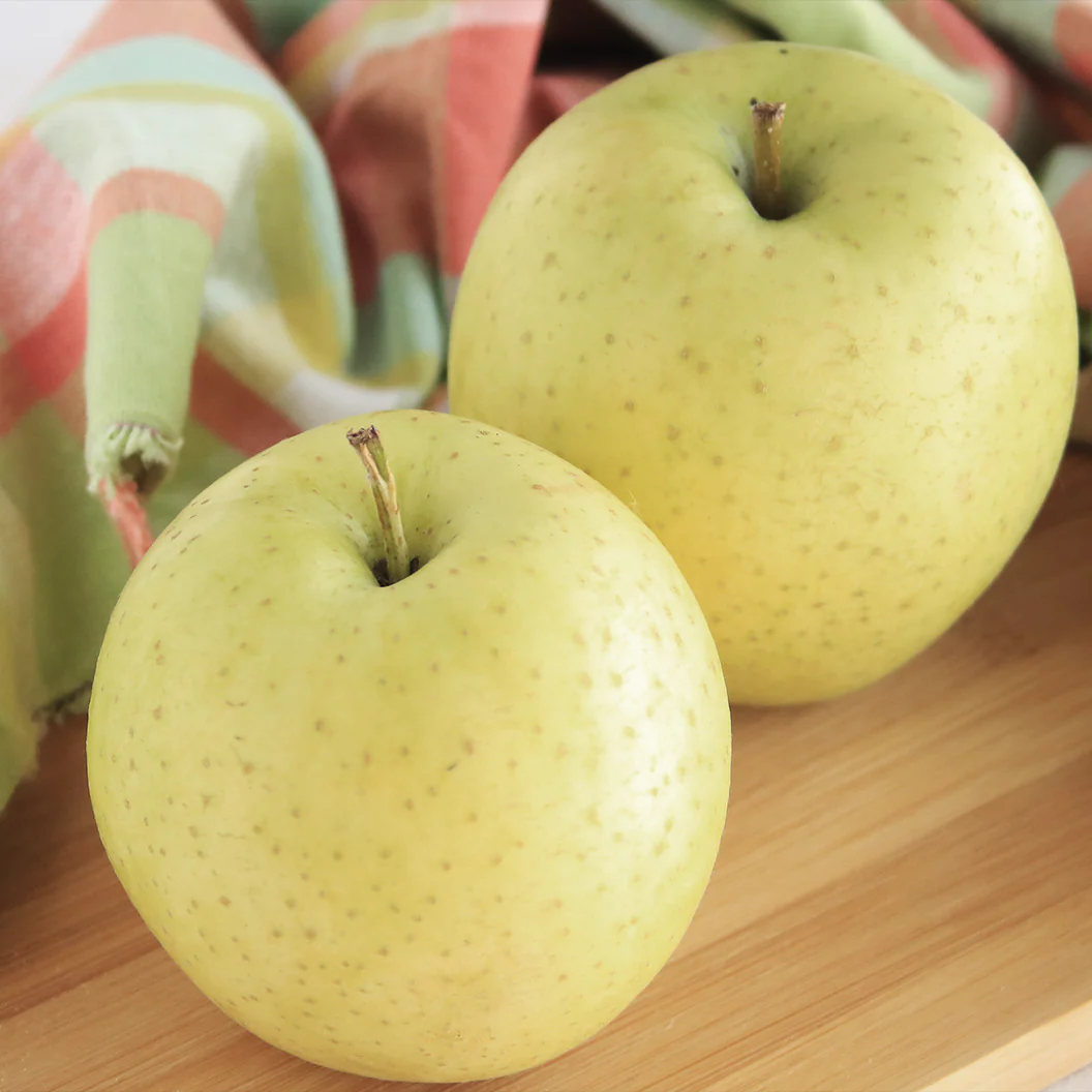 Pristine Apple Tree - Image 2