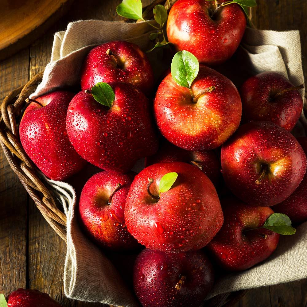 Red Delicious Apple Tree - Image 2