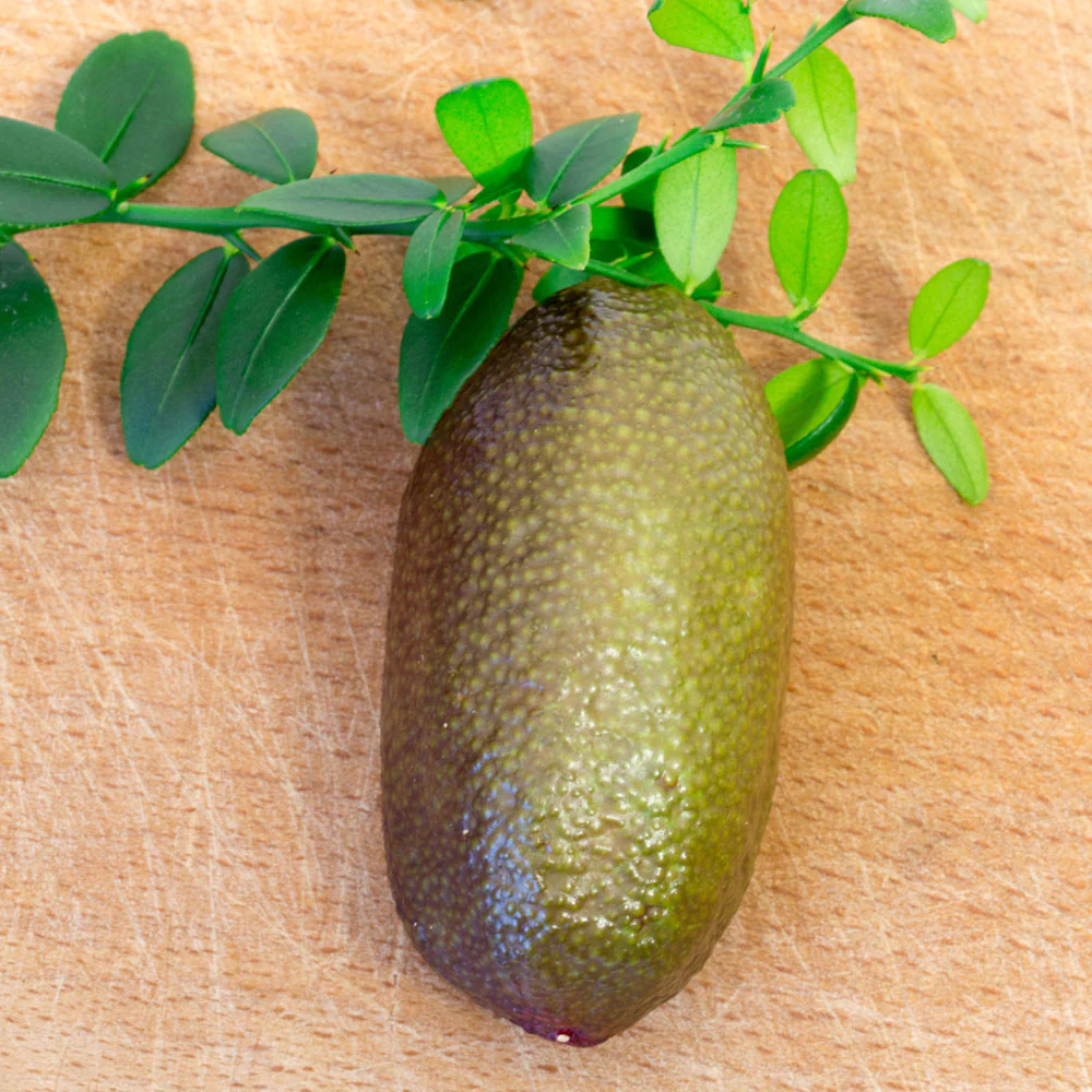 Red Finger Lime - Image 4