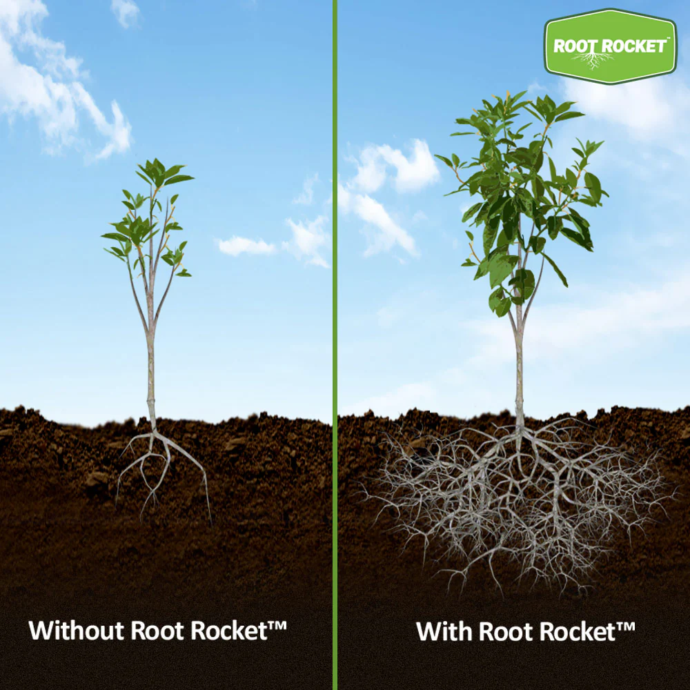 Root Rocket® Citrus Fertilizer - Image 5