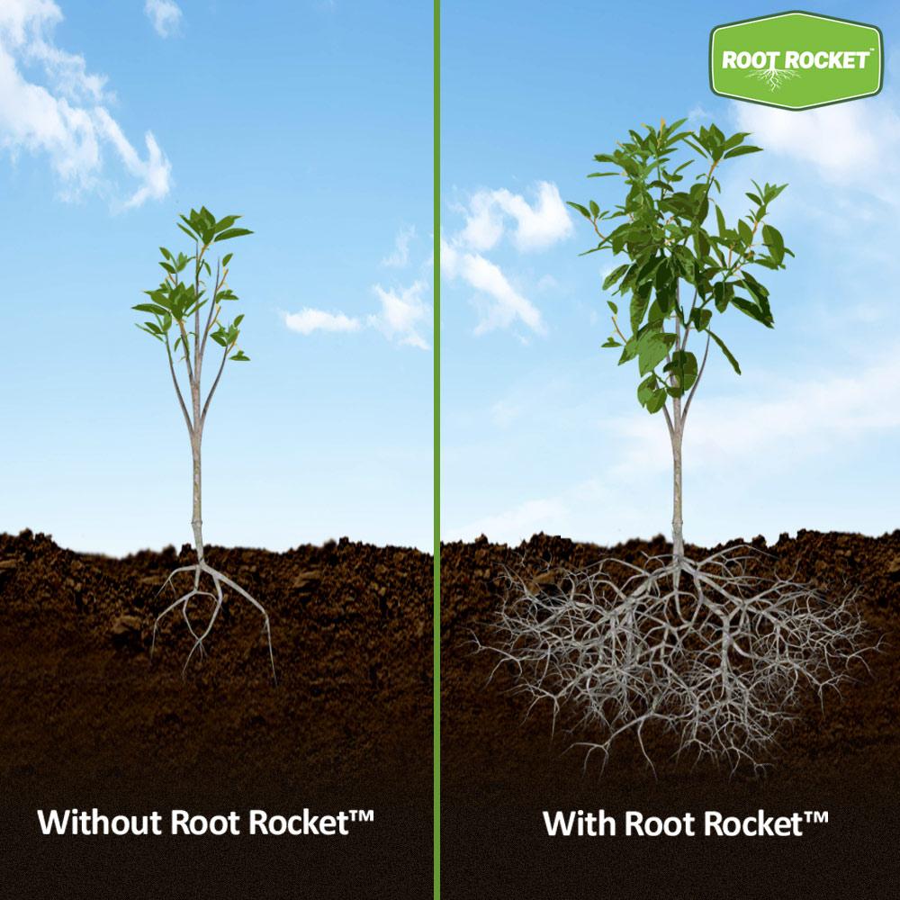 Root Rocket® Fertilizer - Image 6