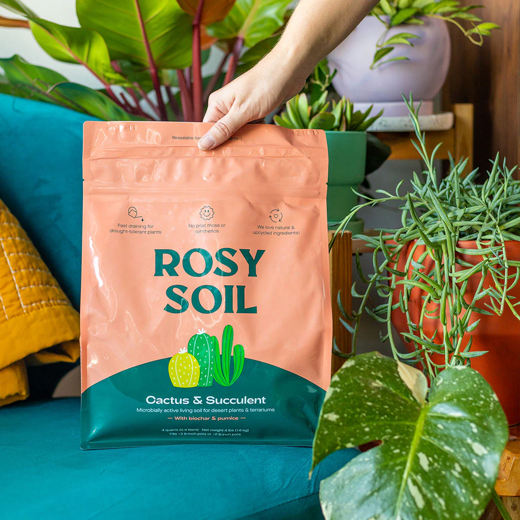 Rosy Soil Cactus and Succulent Mix - Image 4