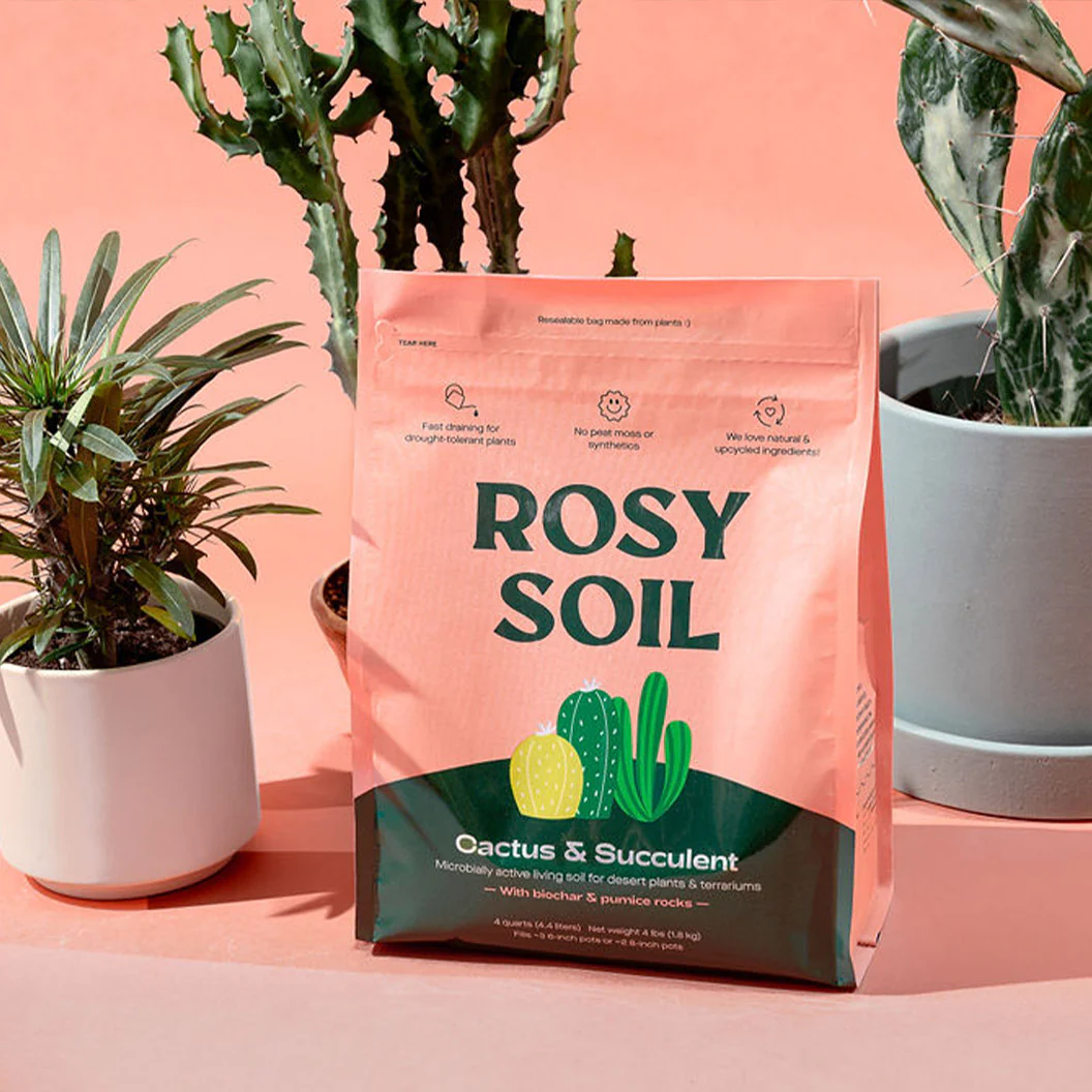 Rosy Soil Cactus and Succulent Mix - Image 7