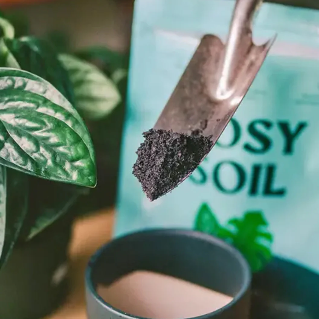 Rosy Soil Houseplant Mix - Image 3