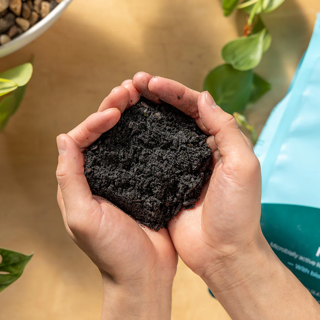 Rosy Soil Houseplant Mix - Image 9