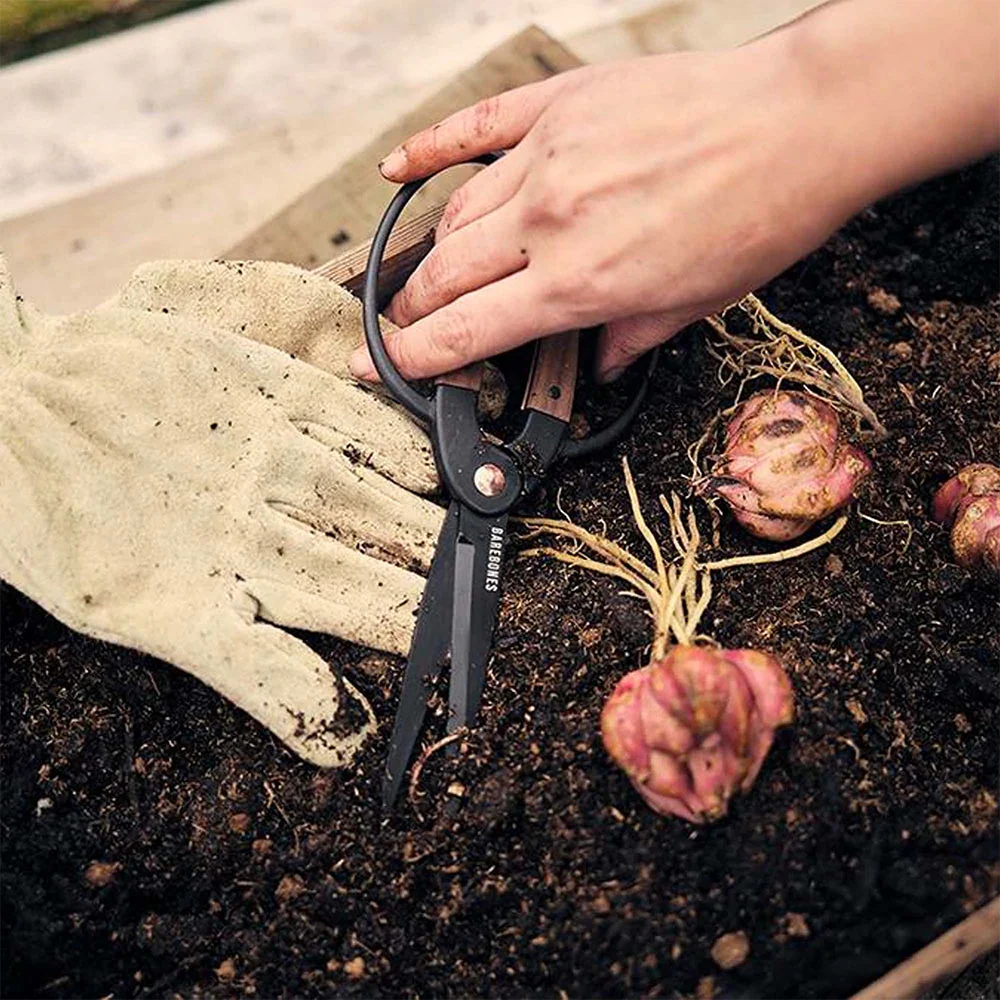 Barebones Rust-Resistant Steel Garden Scissors - Image 2