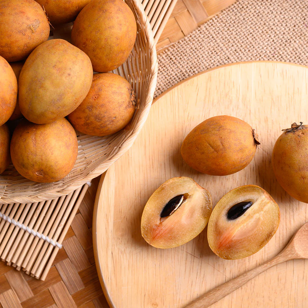 Sapodilla Tree - Image 5