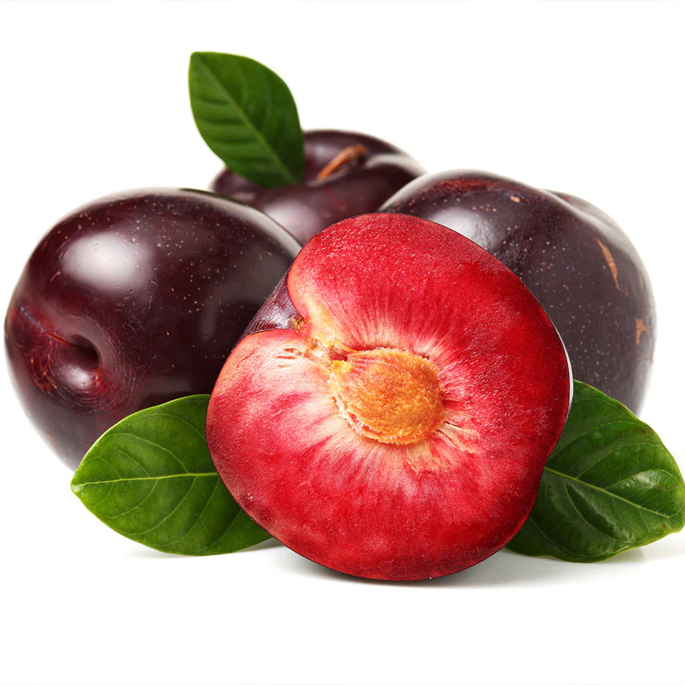 Satsuma Plum Tree - Image 3