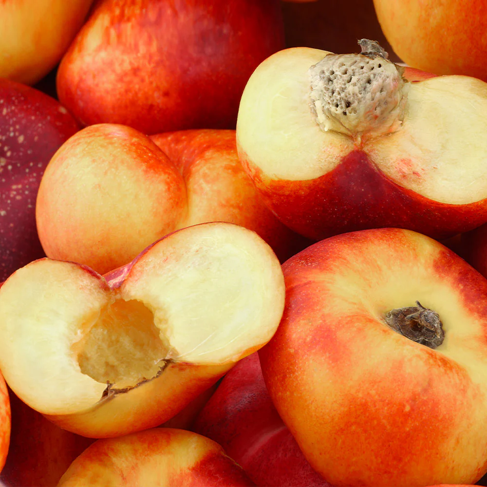 Donut Saturn Peach Tree - Image 3