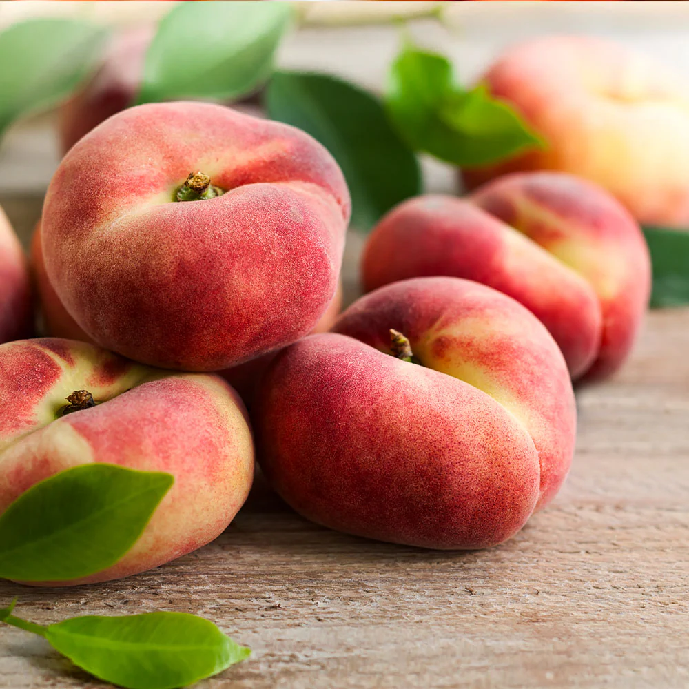 Donut Saturn Peach Tree - Image 4