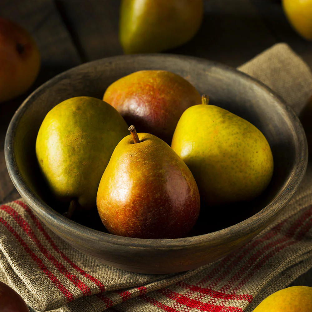 Seckel Pear Tree - Image 2