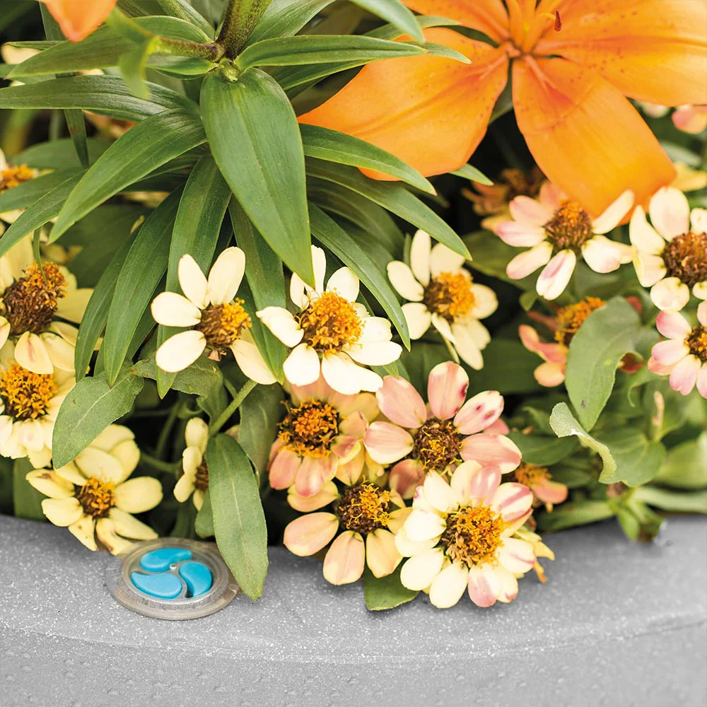Crescent Garden Self-Watering Rim Planter - Image 6