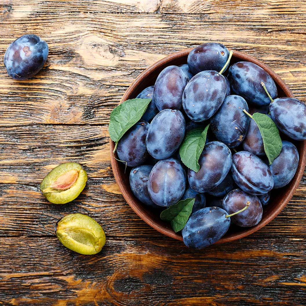 Seneca Plum Tree - Image 3