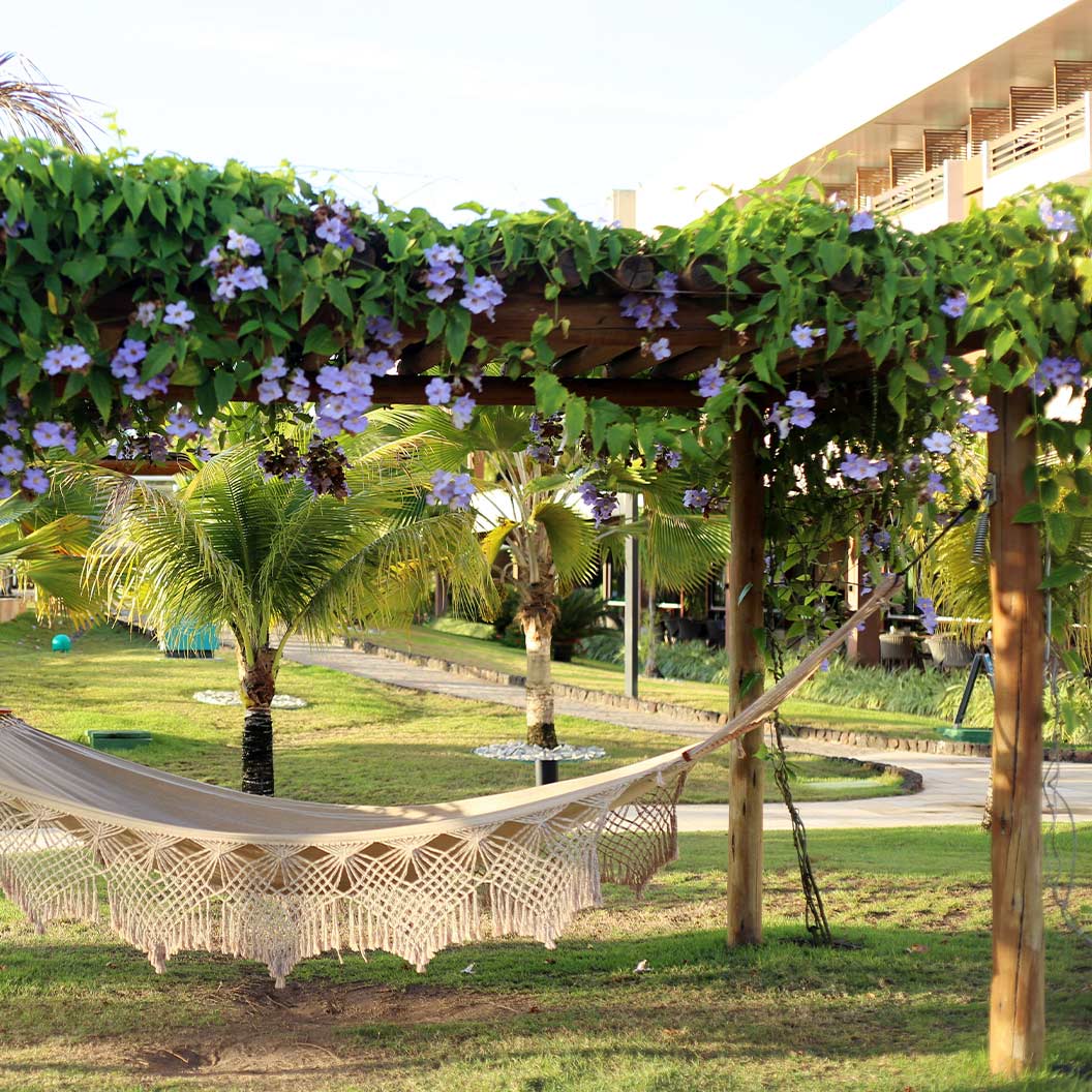 Sky Vine - Image 3