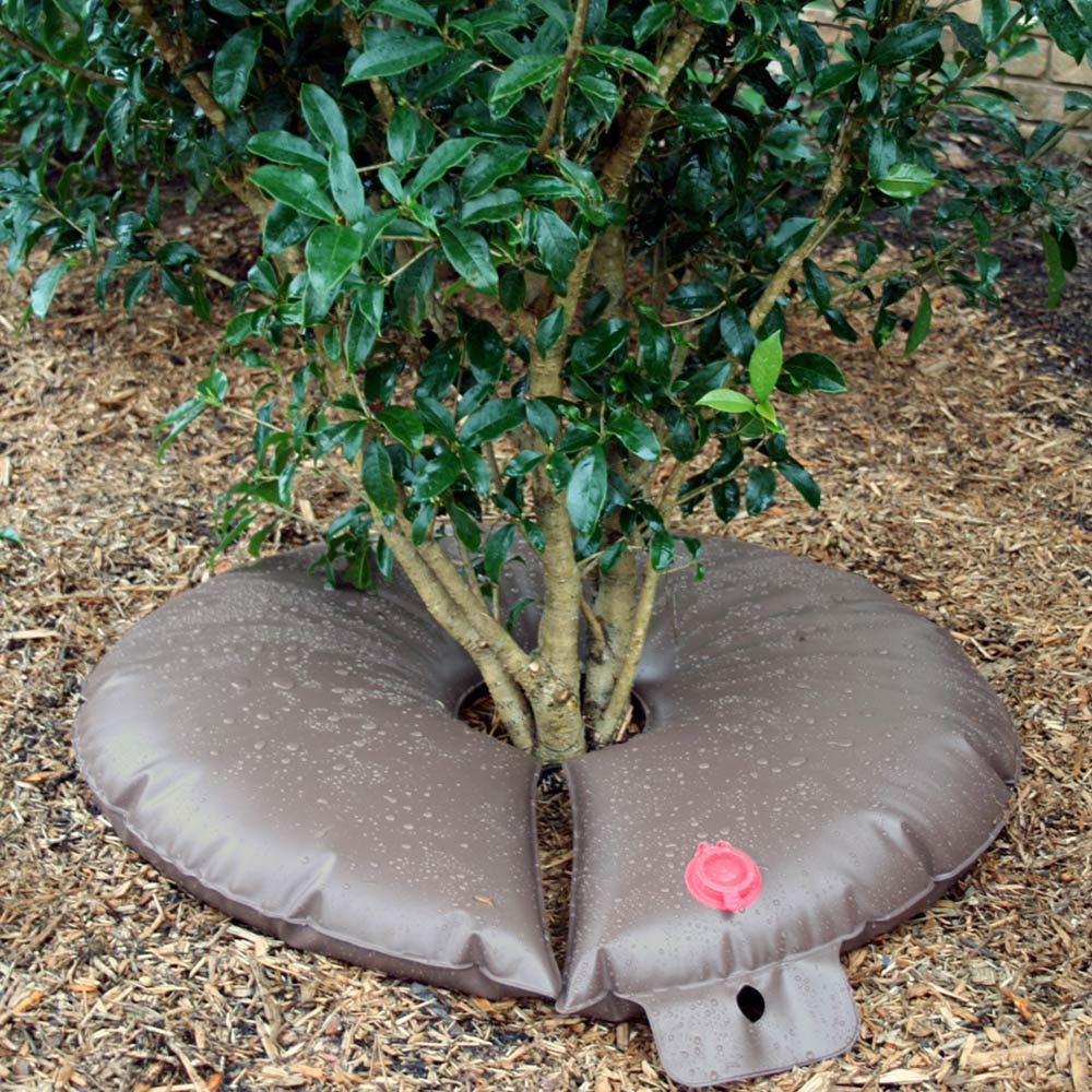 Tree Mate Jr. Slow Release Watering Ring - Image 2