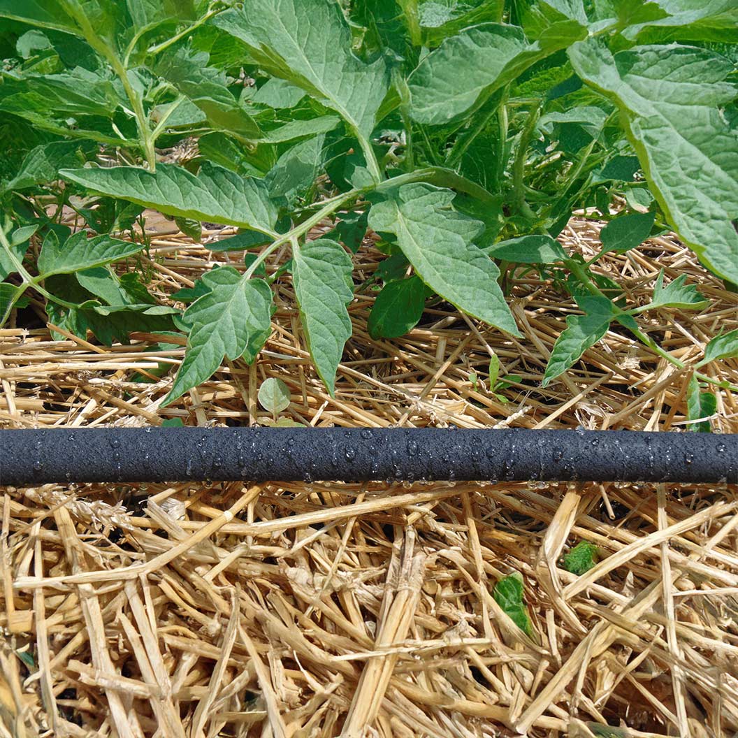 Dramm Soaker Hose - Image 3