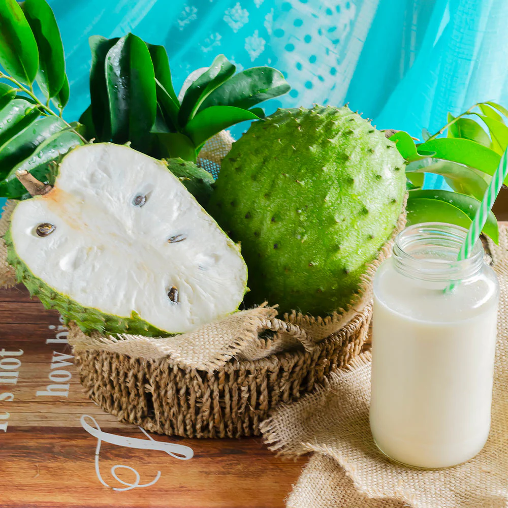 Soursop 'Guanabana' Tree - Image 5