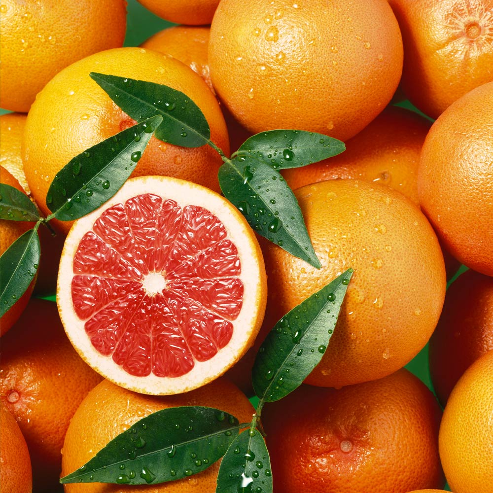 Star Ruby Grapefruit Tree - Image 3