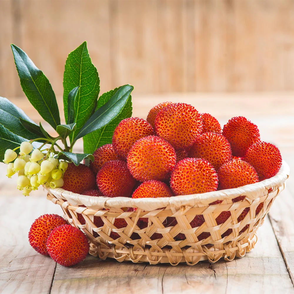 Strawberry Tree - Image 6